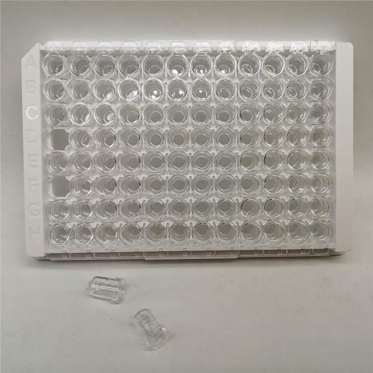 PCR Plate in China